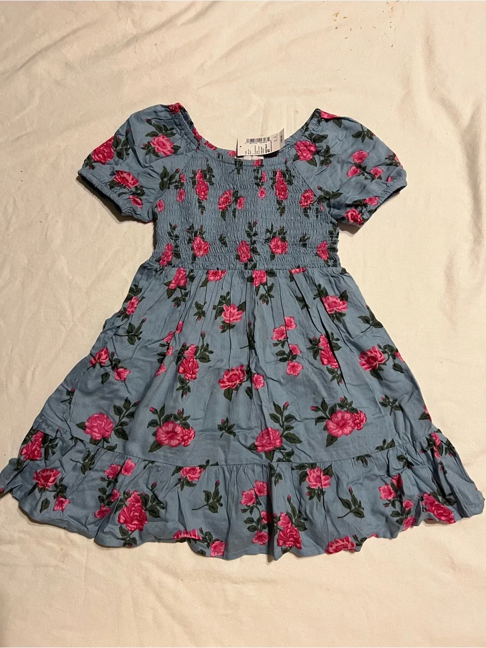 The Children's Place Blue Floral Smocked Dress with Pink Roses
